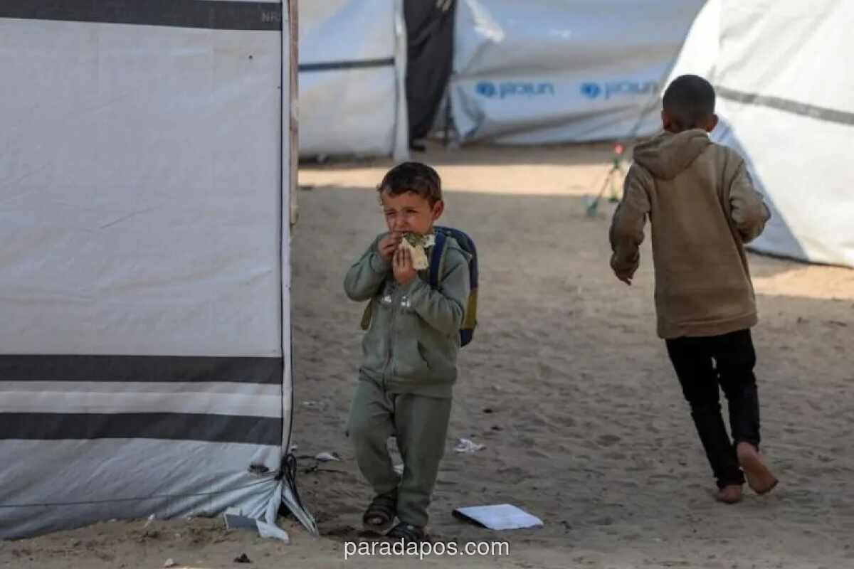 IFRC Peringatkan Lonjakan Biaya Logistik Bantuan Kemanusiaan Akibat Konflik Timur Tengah