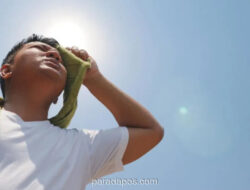 ASMC Peringatkan Gelombang Panas Lebih Awal di Indonesia dan Malaysia