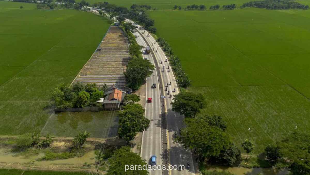 Indramayu Hasilkan 33,99% Produksi Perikanan Jawa Barat Sepanjang 2025