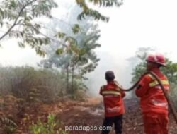 BPBD Kalteng Peringatkan Ancaman Karhutla Meningkat pada 2026