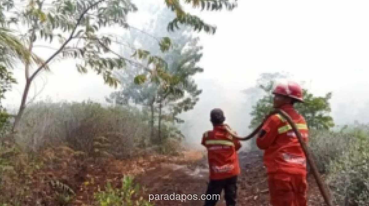 BPBD Kalteng Peringatkan Ancaman Karhutla Meningkat pada 2026