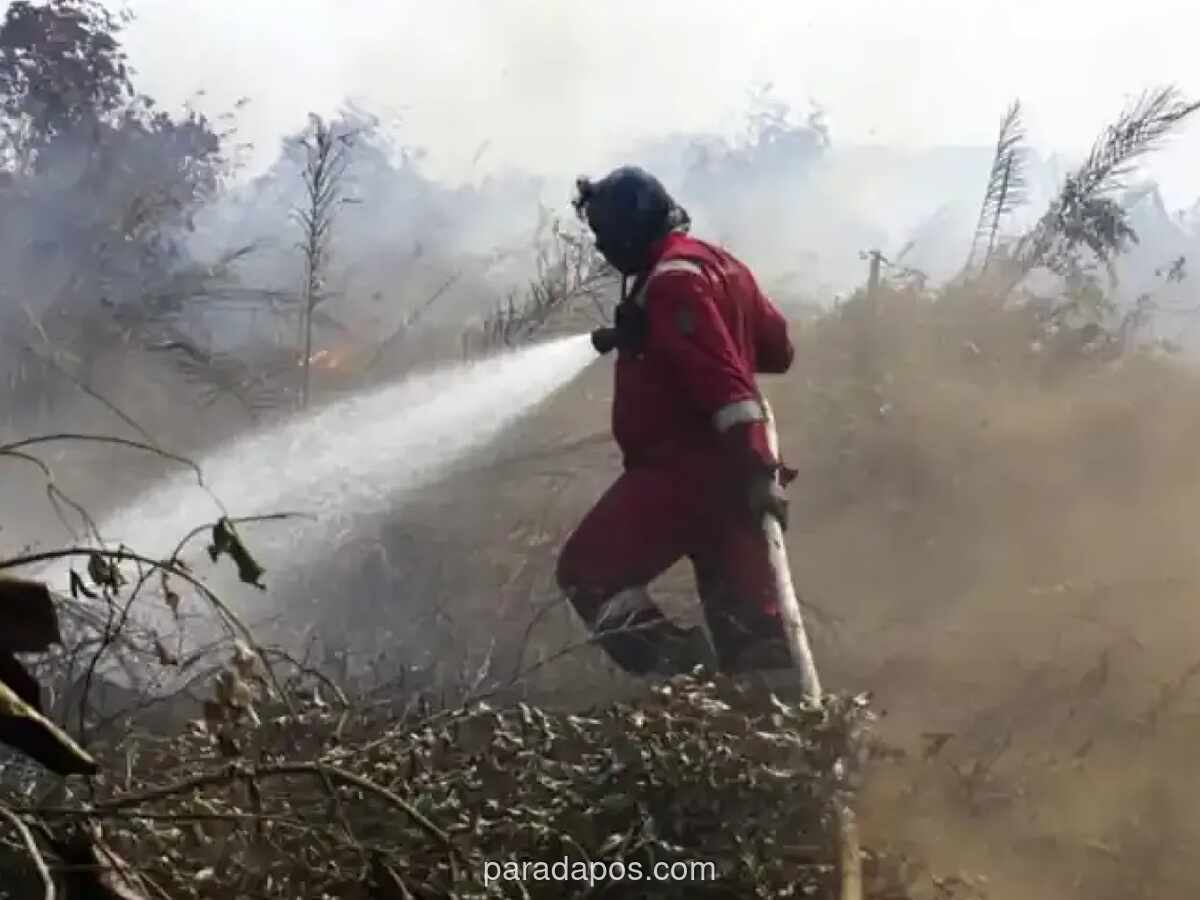 BNPB Waspadai Karhutla di Kaltim dan Kaltara Jelang Ancaman El Nino Godzilla