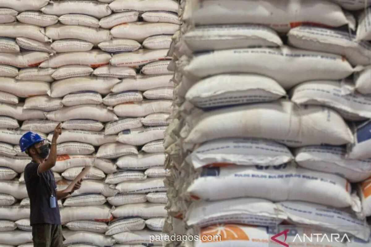 Stok Beras Nasional Diproyeksi Capai 6 Juta Ton, Kapasitas Gudang Jadi Tantangan