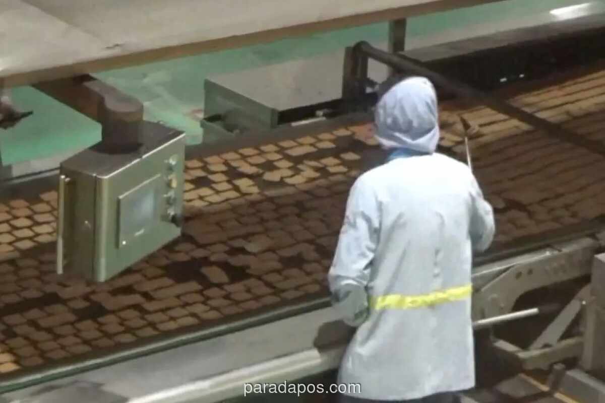 DPR Desak Pemerintah Perbanyak Insentif untuk Dongkrak Daya Saing Industri Mamin