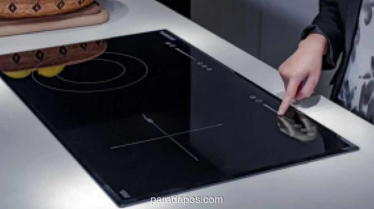 Energi Watch Desak Percepatan Konversi ke Kompor dan Kendaraan Listrik