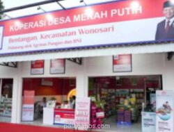 Menteri Koperasi Dorong UMKM Manfaatkan 83 Ribu Gerai Koperasi Merah Putih
