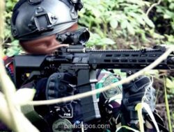 Dua Prajurit Marinir Gugur dalam Baku Tembak dengan KKB di Maybrat