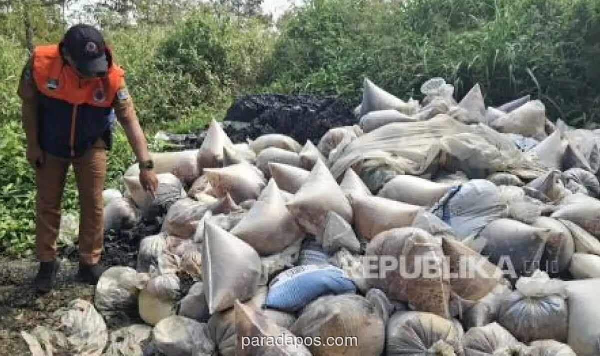 Limbah Batu Bara Ilegal Cemari Perkebunan dan Ancam Warga di Bandung Barat