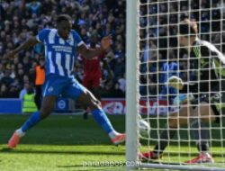 Liverpool Tersandung di Brighton, Ambisi Top Empat Terhambat