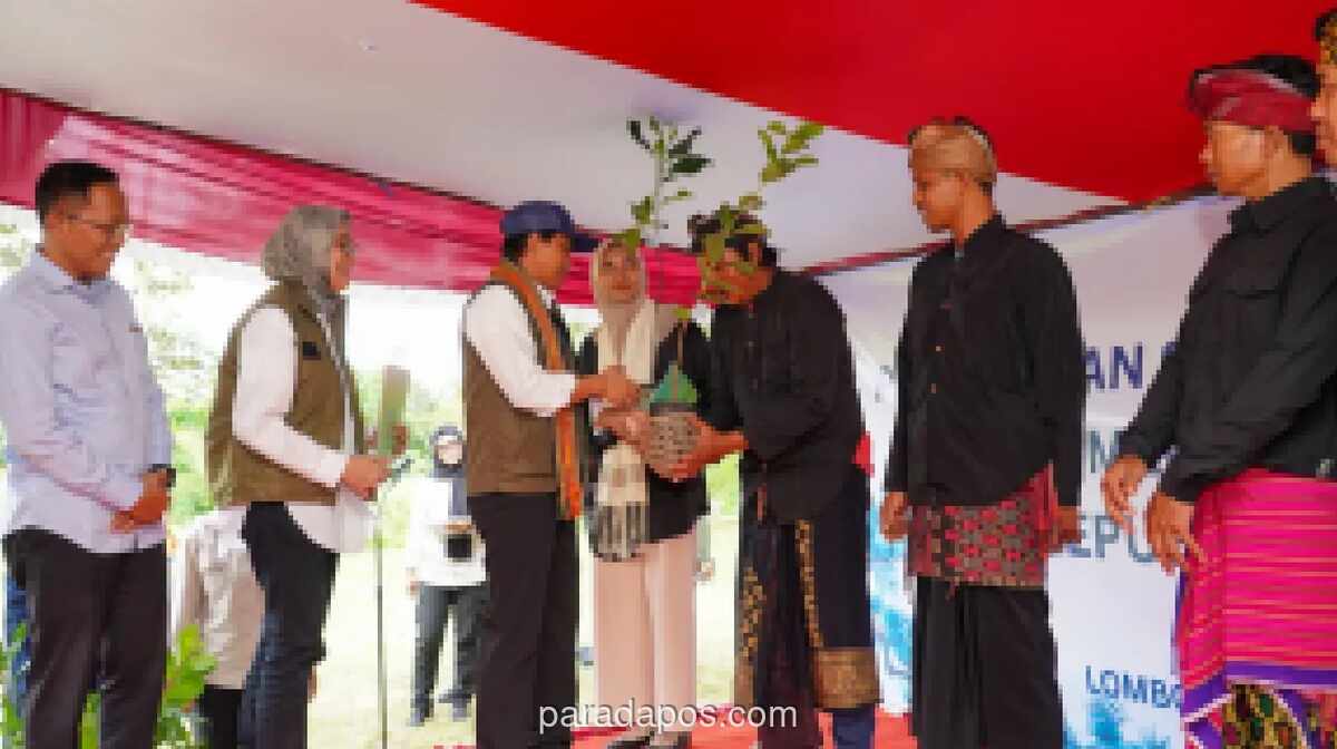 Menteri Kehutanan Serahkan SK Perhutanan Sosial 560 Hektare untuk 411 KK di Lombok