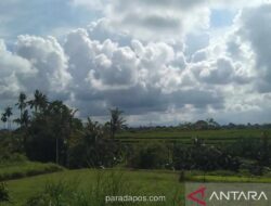 BMKG Prakirakan Cuaca Berawan Dominan, Sejumlah Kota Berpotensi Hujan Ringan-Sedang