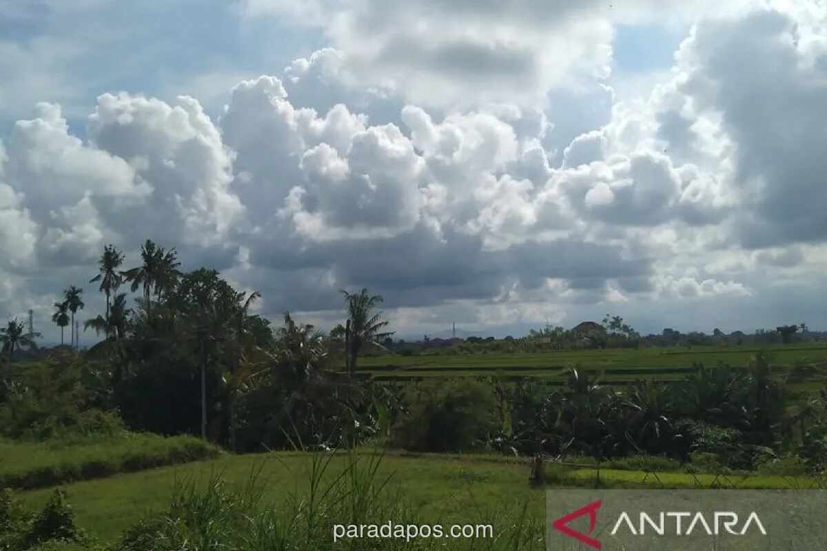 BMKG Prakirakan Cuaca Berawan Dominan, Sejumlah Kota Berpotensi Hujan Ringan-Sedang