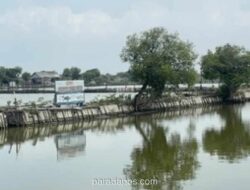 Mudik ke Sidoarjo? Wisata Pemancingan hingga Seafood Segar Bisa Jadi Pilihan