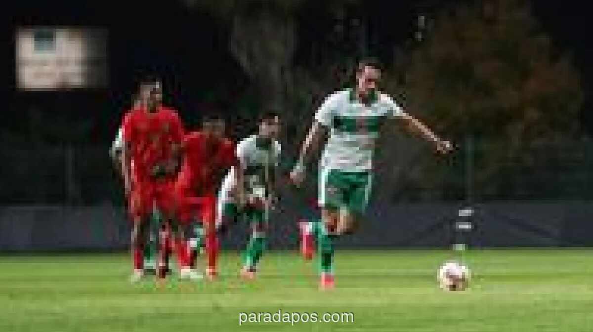 Herdman Umumkan Sementara 41 Pemain untuk FIFA Series, Baggott dan Walian Kembali