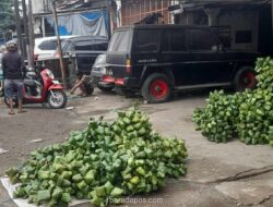 Pedagang Kulit Ketupat Mulai Ramai, Daun Pisang Lebih Diburu