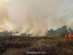Damkar Bintan Ingatkan Ancaman 10 Tahun Penjara bagi Pelaku Karhutla