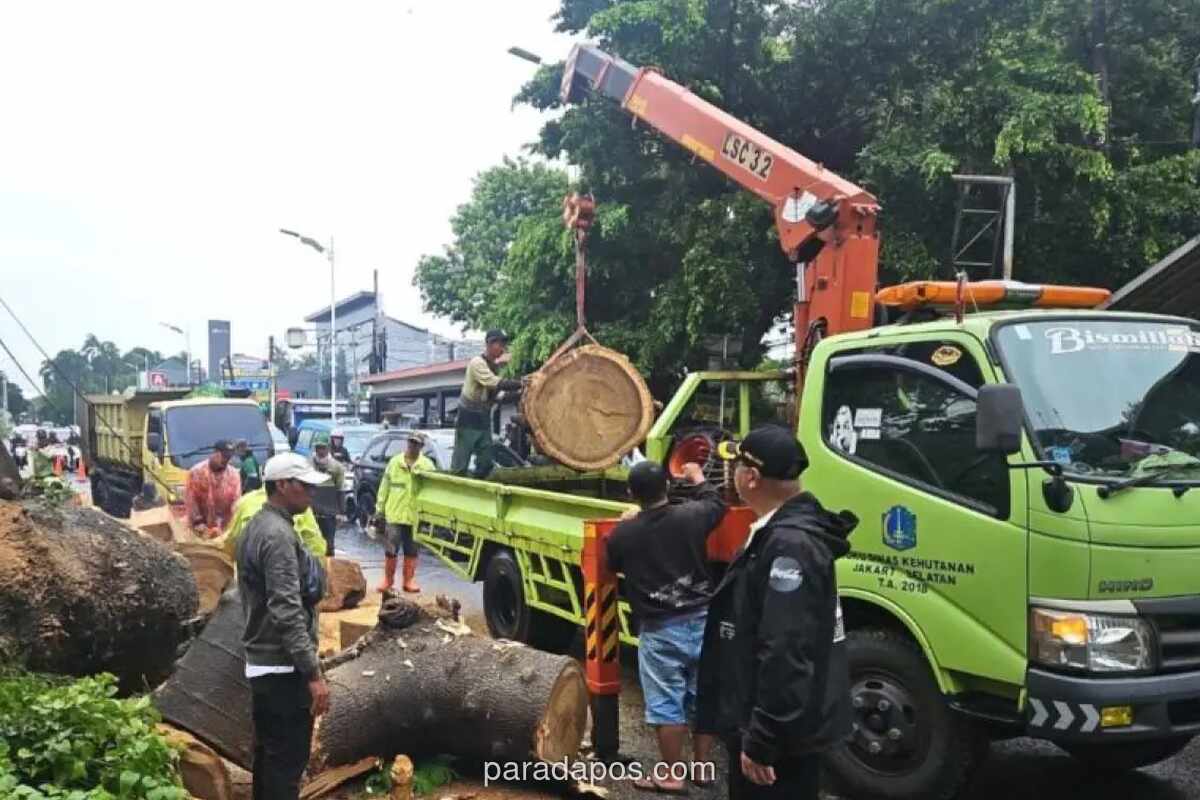 Pemkot Jaksel Beri Santunan Rp50 Juta ke Keluarga Korban Tewas Tertimpa Pohon Tumbang