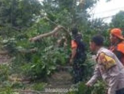 Pemprov DKI Tanggung Biaya Pemakaman Korban Tewas Pohon Tumbang di Lenteng Agung