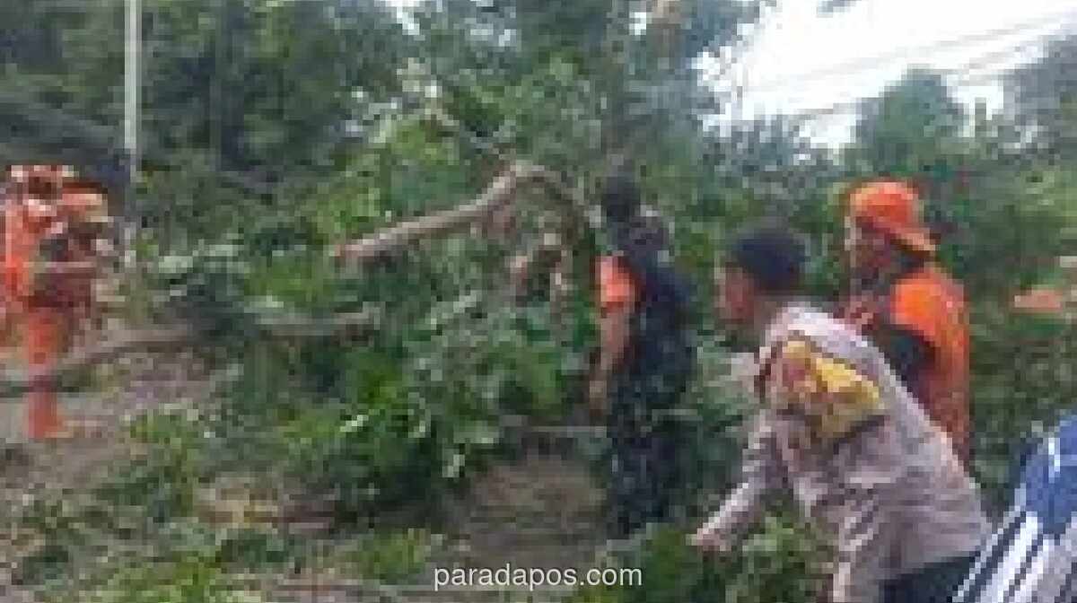 Pemprov DKI Tanggung Biaya Pemakaman Korban Tewas Pohon Tumbang di Lenteng Agung