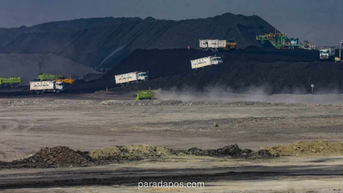 Pelaku Tambang Desak Pemerintah Tak Terlalu Ketatkan Kuota Produksi Batu Bara