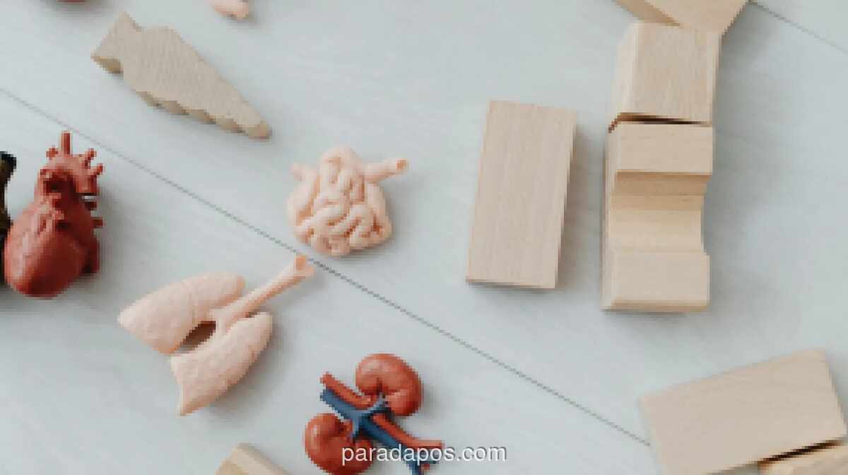 Penyakit Ginjal Kronis Kini Serang Generasi Muda, Gaya Hidup Jadi Pemicu