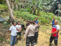 Proyek PSN di Pulau Poto Akhiri Stagnasi, Serap Ribuan Tenaga Kerja Lokal