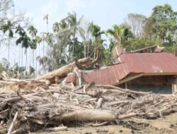 Satgas PRR Percepat Pemanfaatan Kayu Hanyutan untuk Rehabilitasi Pascabencana Sumatera