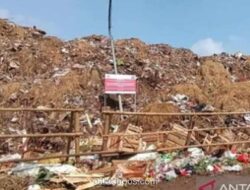 Suku Dinas LH Jakarta Timur Bantu Angkut Sampah Darurat di Pasar Induk Kramat Jati