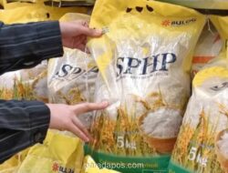 Pemerintah Perpanjang Program Beras Subsidi hingga 2026 dengan Anggaran Rp4,97 Triliun