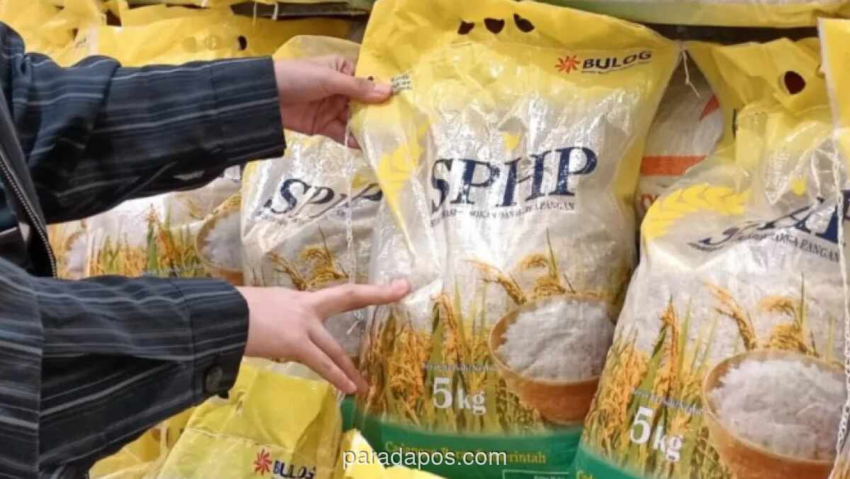 Pemerintah Perpanjang Program Beras Subsidi hingga 2026 dengan Anggaran Rp4,97 Triliun