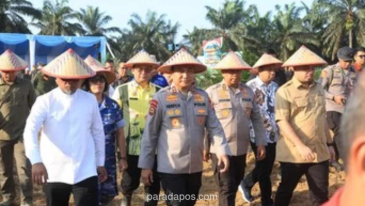 Polda Riau Kembangkan Pupuk dan Benih Jagung Unggul untuk Antisipasi Kemarau 2026