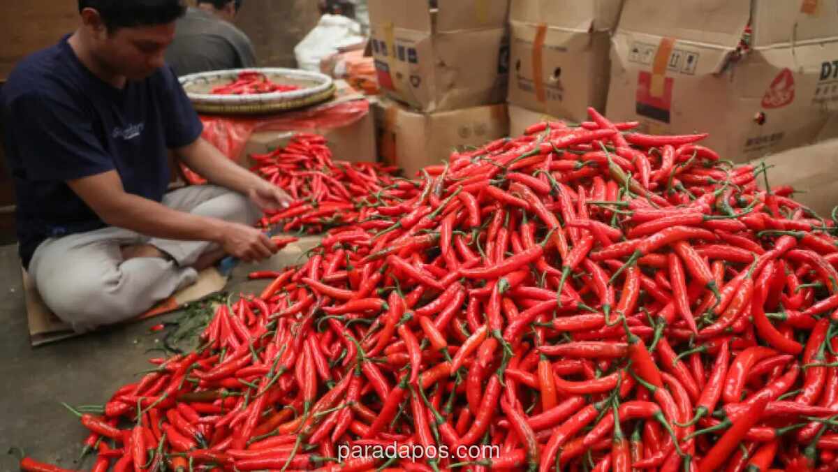 Pemerintah Proyeksikan Harga Sembilan Pasca-Lebaran 2026 Tetap Stabil