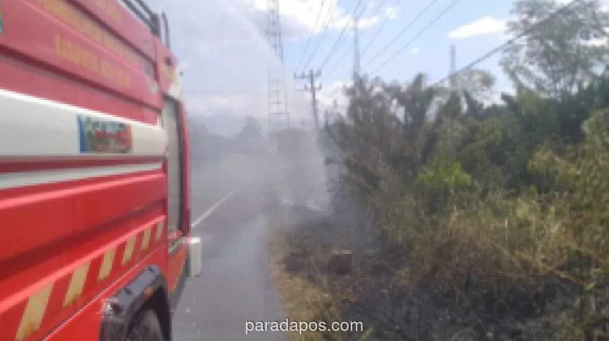 BPBD Aceh Besar Larang Bakar Sampah dan Lahan Imbas Cuaca Panas Ekstrem
