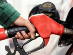 Krisis Energi 2026 Picu Adaptasi Kreatif Masyarakat Global, Termasuk Indonesia