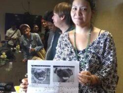 Kasus Kematian Anjing Milik Melanie Subono Mandek Sembilan Tahun, Kejaksaan Didorong Segera Tuntaskan Berkas