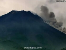 Gunung Merapi Catat Ratusan Guguran Lava dan Empat Awan Panas dalam Sepekan