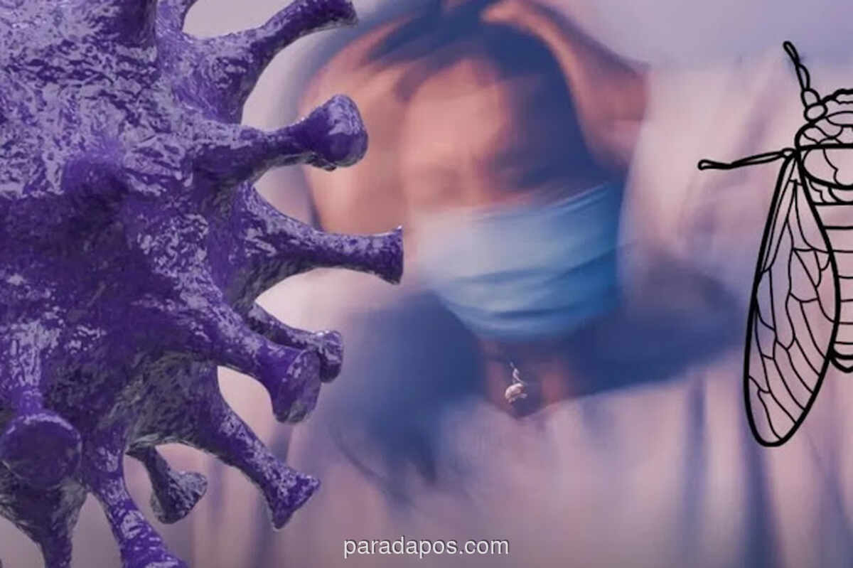 WHO Laporkan Varian Baru Covid-19 Cicada Menyebar ke 23 Negara, Ahli Peringatkan Potensi Masuk Indonesia