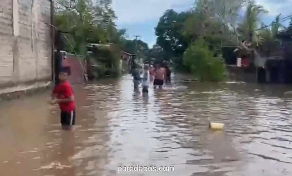 Cuaca Ekstrem Picu Banjir dan Longsor di Jembrana, Ratusan Rumah Terendam