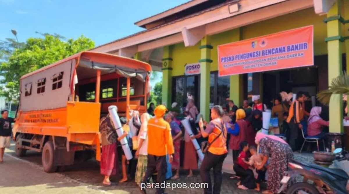 Banjir Demak Surut, Satu Korban Jiwa Ditemukan