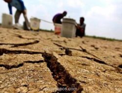 BMKG Bantah Klaim Musim Kemarau 2026 Jadi yang Terparah dalam 30 Tahun