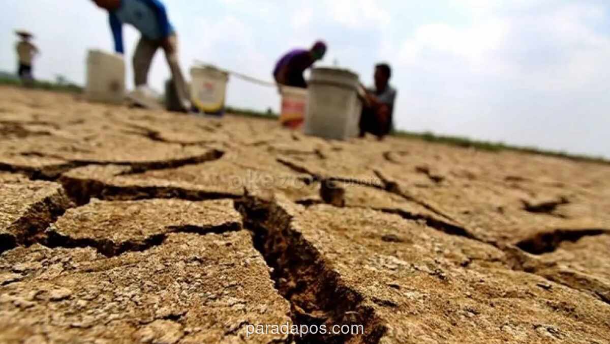 BMKG Bantah Klaim Musim Kemarau 2026 Jadi yang Terparah dalam 30 Tahun