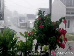 BMKG Ingatkan Potensi Hujan Lebat dan Angin Kencang di Masa Pancaroba