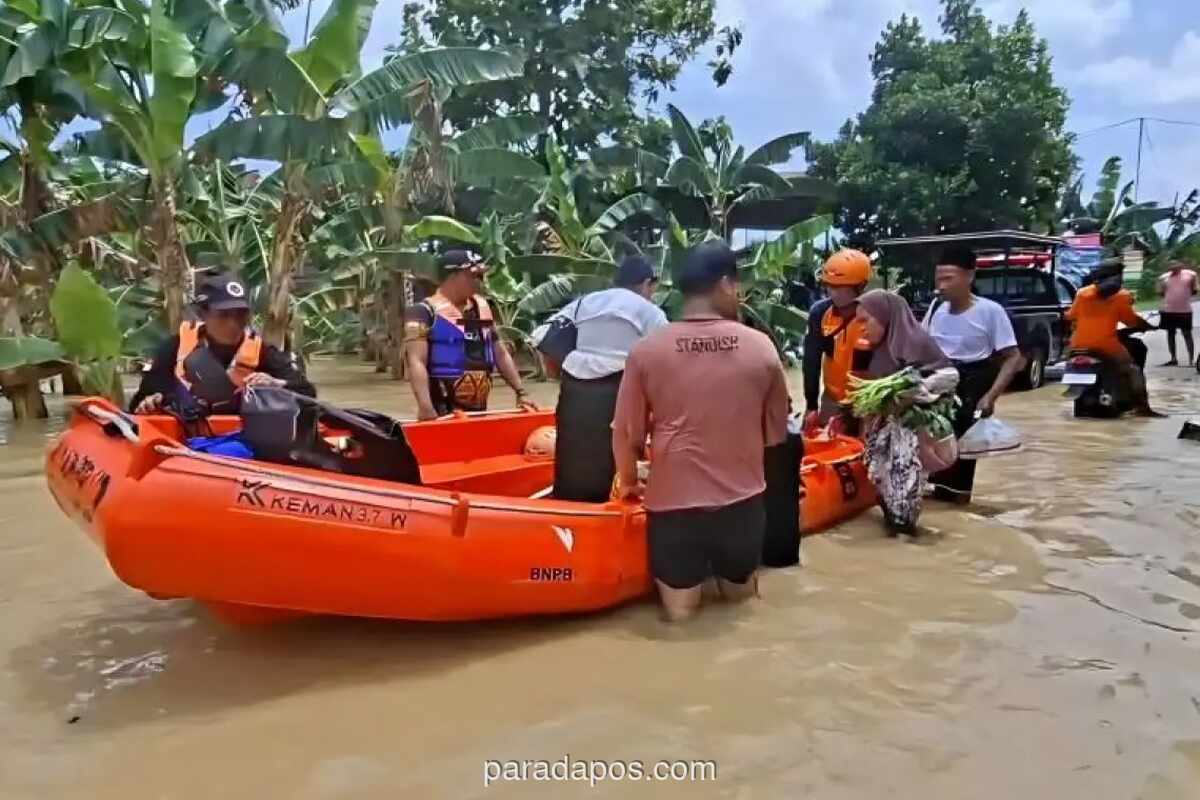 Banjir Demak: 2.839 Jiwa Mengungsi Akibat Tanggul Tuntang Jebol