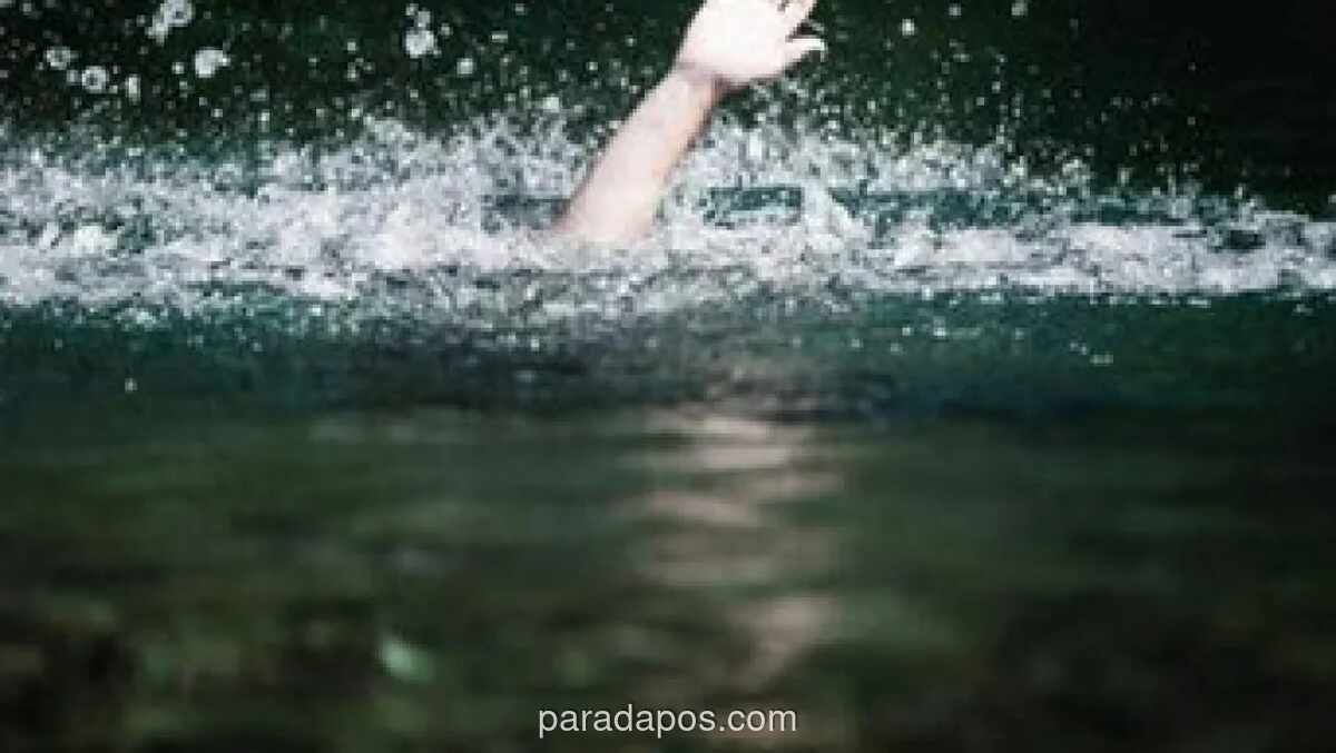 Tim SAR Gabungan Lanjutkan Pencarian Anak 4 Tahun yang Hanyut di Kali Bojonggede