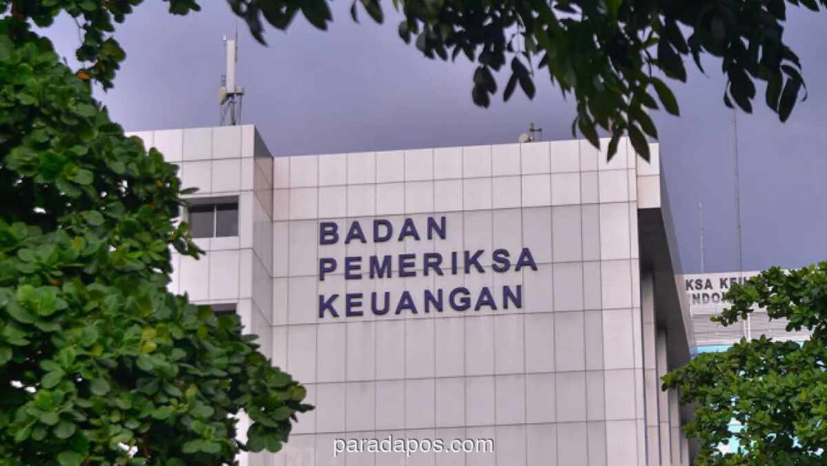 BPK Ungkap Dukungan Penyelamatan Keuangan Negara Capai Rp42,87 Triliun