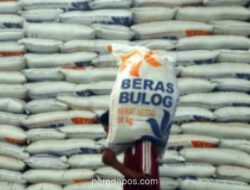 Wakil Ketua DPD Apresiasi Cadangan Beras Nasional Tembus 5,2 Juta Ton