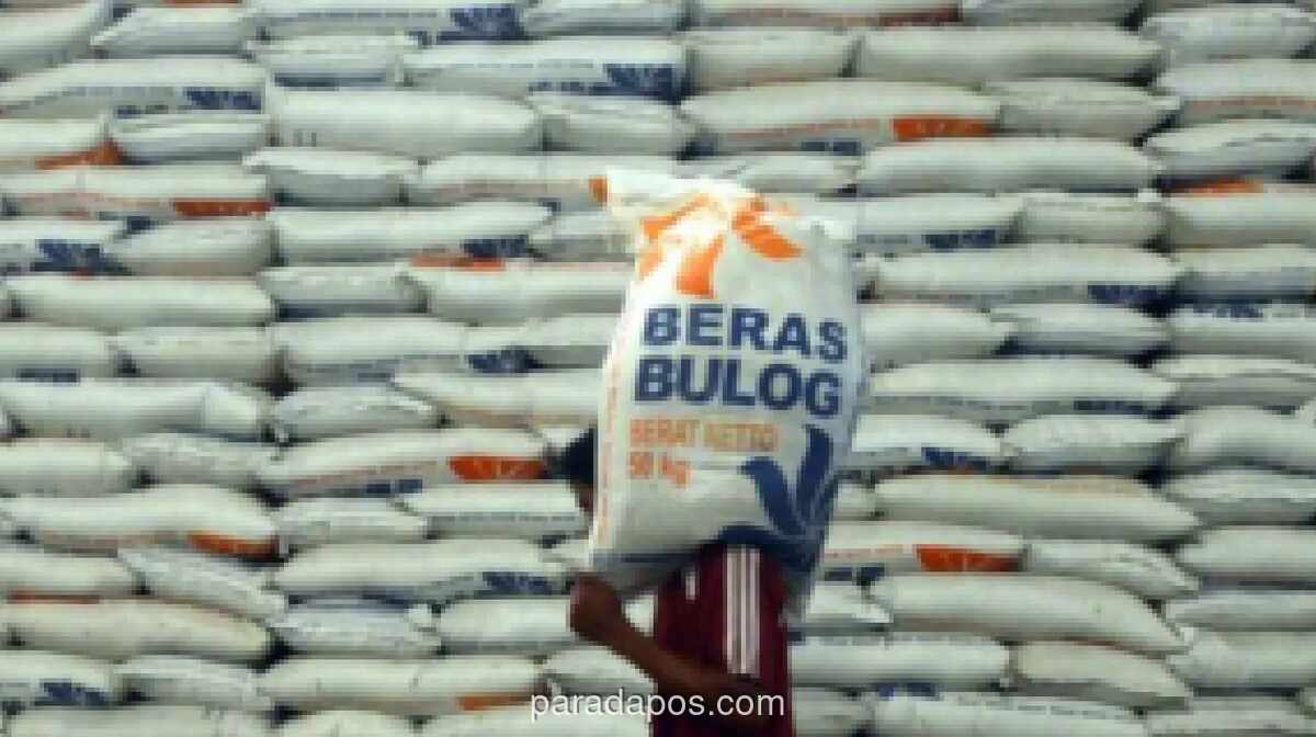 Wakil Ketua DPD Apresiasi Cadangan Beras Nasional Tembus 5,2 Juta Ton