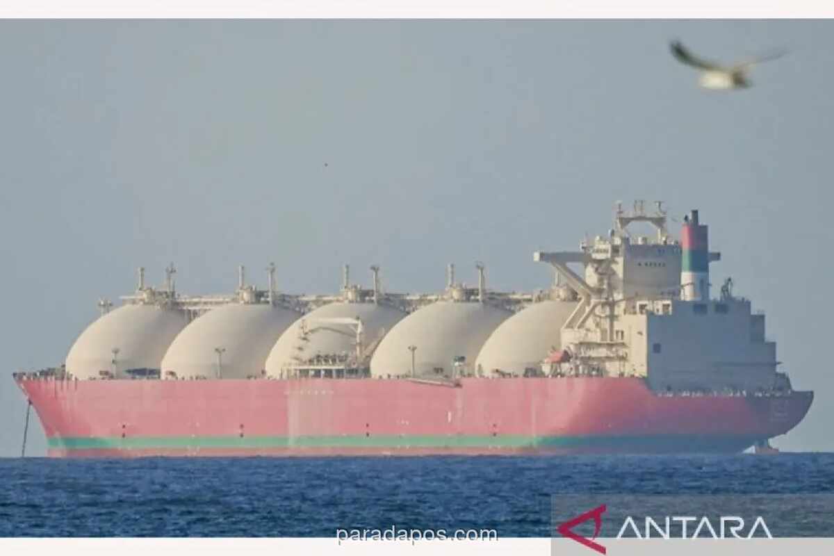 Sekjen D-8: Pakistan, Turki, dan Mesir Mediasi Gencatan Senjata Iran-AS