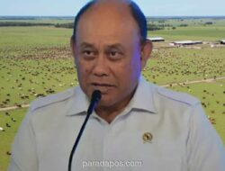 BGN Klarifikasi Angka 19 Ribu Ekor Sapi per Hari Hanya Simulasi, Bukan Kebutuhan Riil MBG