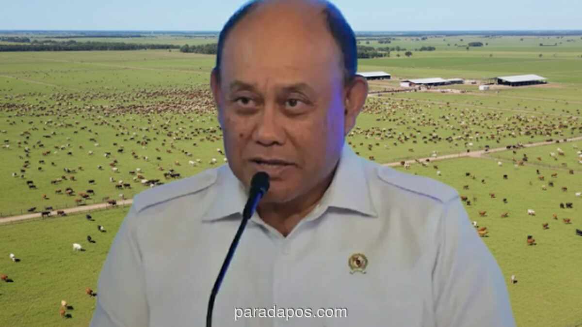 BGN Klarifikasi Angka 19 Ribu Ekor Sapi per Hari Hanya Simulasi, Bukan Kebutuhan Riil MBG